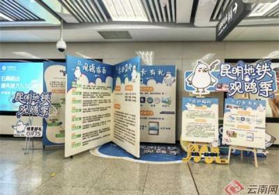 昆明地铁开展观鸥季主题打卡活动 六举措保障市民出行