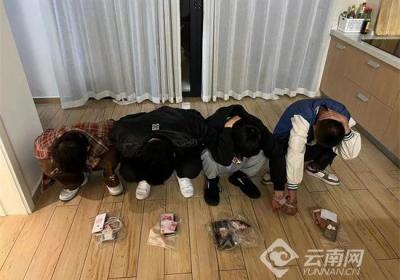 昆明打掉“两卡”违法犯罪团伙9个