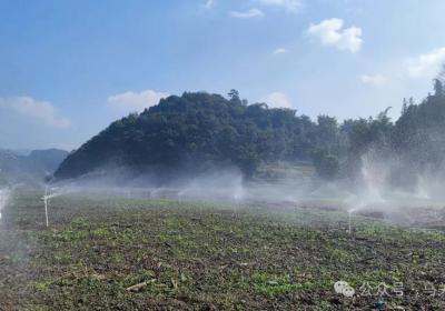 马关：用活“家门口车间” 助力群众就近就业