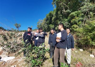 云南省森林和草原资源核查中心：用好“加减乘除”法 提升工作效能