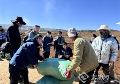 亩产超1吨、产值破2万元！科技赋能丽江云当归量质齐升