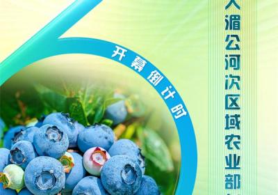 倒计时3天｜第三届大湄公河次区域农业部长会议将在云南昆明开幕