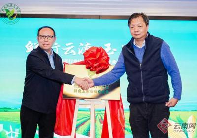 云南省蔬菜行业协会鲜食玉米专业委员会揭牌成立