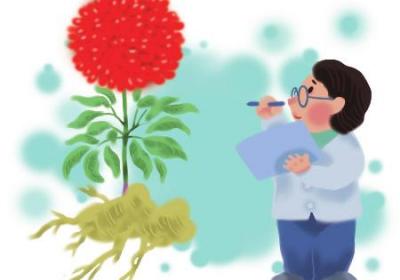 云南中医药如何持久飘香