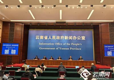 【云新发布】多措并举优化营商环境 德宏州实有经营主体超20万户