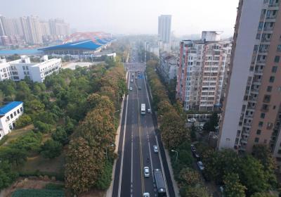 碧湖路改造工程实现品质提升段贯通，助力区域间人员往来