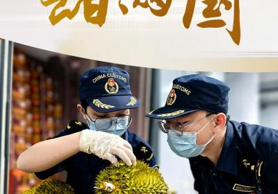 一个榴莲甜两国