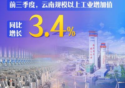 【财金云南】 向新！向绿！云南工业经济发展进入“高端局”