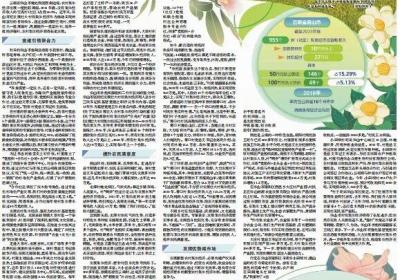 《经济日报》整版聚焦：云南保山因地制宜发展农村集体经济