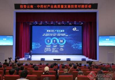 云南白药：领航中药材产业高质量发展新篇章