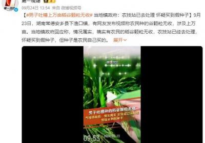 男子吐槽上万亩稻谷颗粒无收 当地镇政府回应：怀疑买到假种子