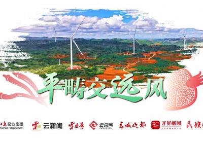 平畴交远风｜云南文山平远片区“五联五促”模式 筑牢民族团结进步之基