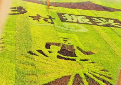 中国农民丰收节 | 看思茅“丰”景如画