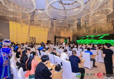 楚天好茶边疆行在昆明圆满收官
