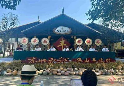 【云新发布】保山市龙陵县石斛全产业链综合年产值达75亿元