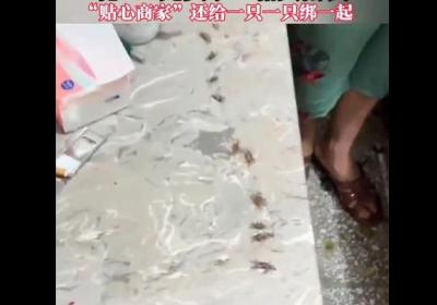 女子网上9.9元买了一箱“大闸蟹” 网友：适合给孩子当宠物！