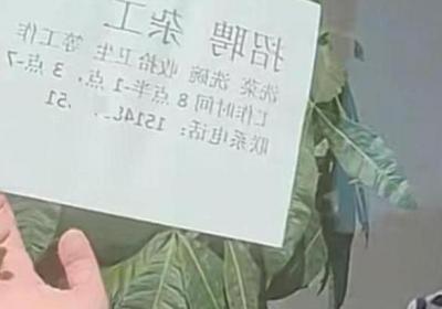 商户贴A4纸招聘信息被罚?城管回应：只是口头教育，未实施处罚