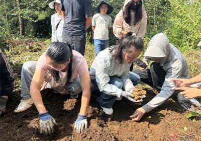 【走基层 看一线】农民变股民 云南彝良宝藏村激活乡村生态资源