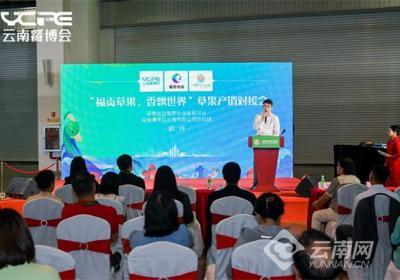 云南福贡草果香飘世界——草果产销对接会在昆明举办