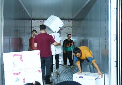 中老铁路国际货物列车常态化开行 助力玉溪果蔬自信远航