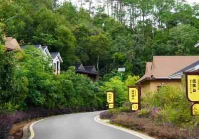 美好生活在云南 | 旅居＋康养 住在森林探秘境