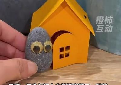这届年轻人突然喜欢养石头宠物 小众市场需求旺盛