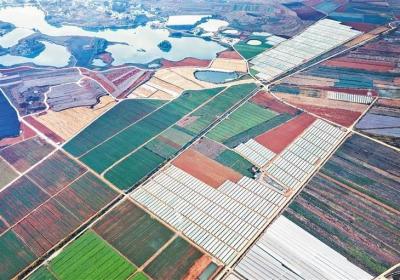 生态良好 生产绿色 生活和美——长江绿色生态廊道宣威项目实现农业综合开发三个愿景