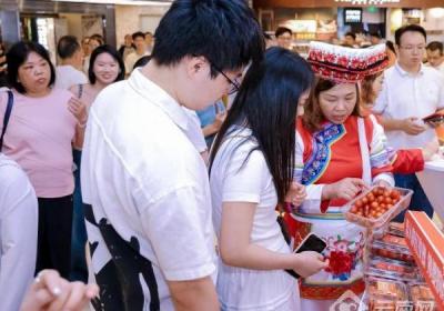 大理种植的新品种水果番茄走向全国市场