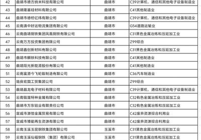 全省百强名单公示！昆明有这些→