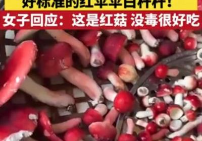 女子晒炒蘑菇视频吓坏网友 当事人回应：这是红菇，没毒，很好吃！