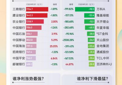 晓数点：2024年A股半年报风云揭秘
