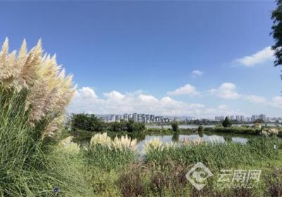 【高质量发展调研行】滇池沿岸小渔村 如何让“流量”变“留量”？