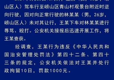 女子逆行狂扇男子十几耳光被拘留10日 罚款1000元