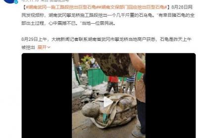 湖南一施工路段挖出超三千斤石龟 当地有“三龟守城门”的说法