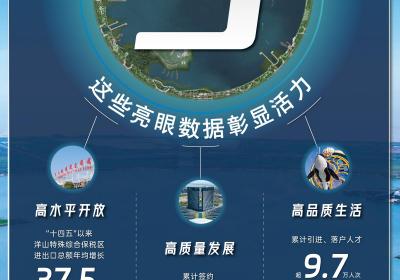 "上海临港新片区五周年：活力数据展现亮眼成果"