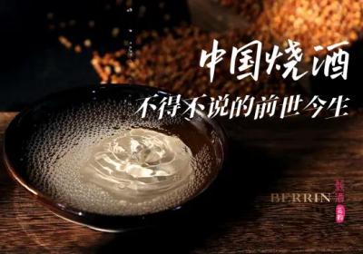 中国烧酒：一段无法回避的前世今生