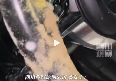 保时捷发霉车主自嘲不想要了：车内已遍布霉斑，方向盘都长毛
