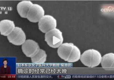 日本疯传的食人菌是什么？初期有哪些症状，如何传播