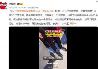 女子就餐狗被服务员放工作间闷死 饭店：不允许宠物进店