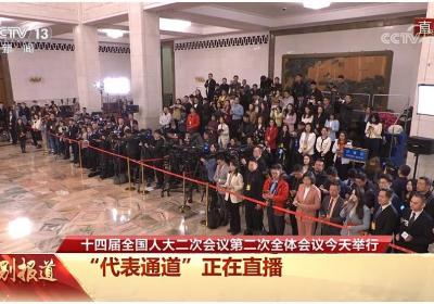 十四届全国人大二次会议第二次全体会议